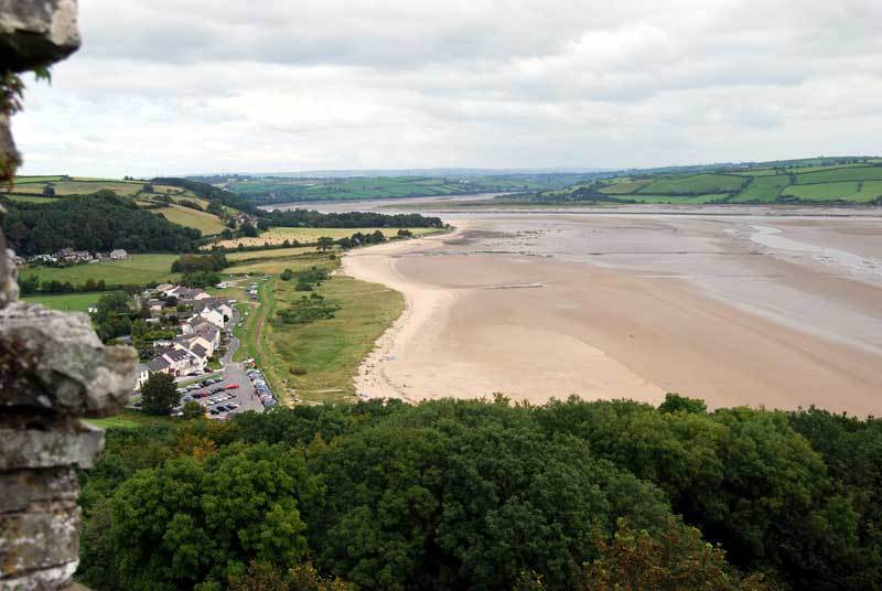 The best place to forage in South Wales - Bushcraft Buddy