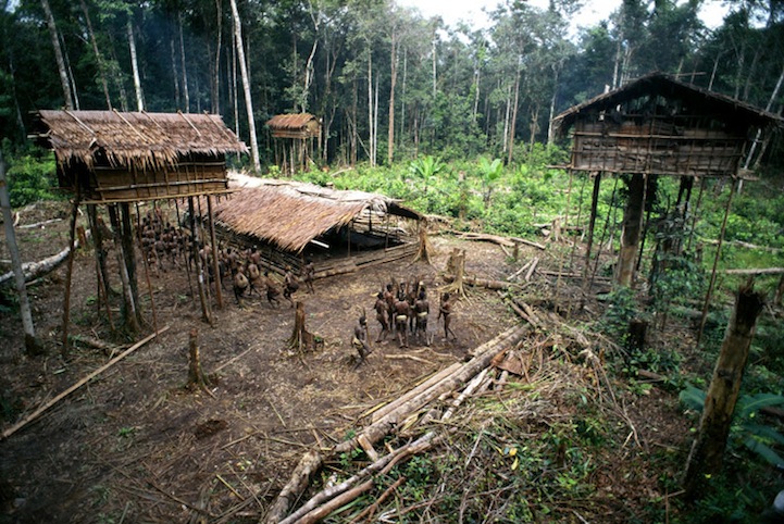 What do Amazon tribes eat? | Bushcraft Buddy